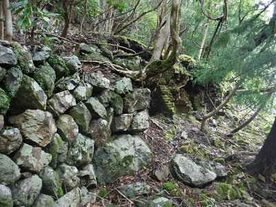 岩本式木材乾留窯　