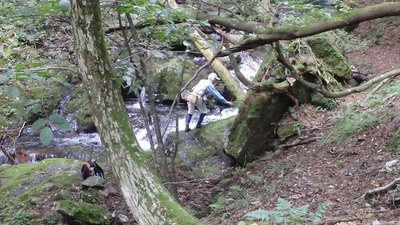 釣り師を巻く？