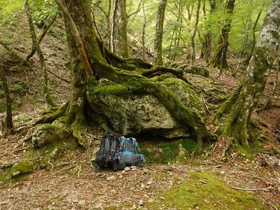 山日和さんランチ場