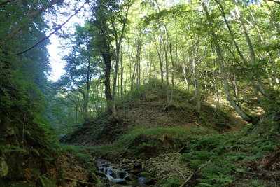 二俣のテン場を見上げる