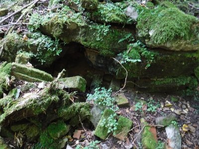 岩本式木材乾留炭化装置の崩れた窯