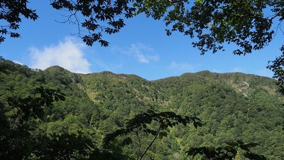 20190925-P9251987-2.jpg (124.61 KiB) 閲覧された回数 4817 回 ヤブ小尾根からの三周