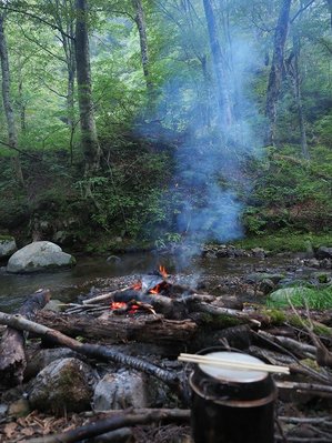 山毛欅林と穏やかな流れ、三日目の朝