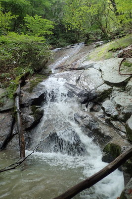 PA060075_1.JPG