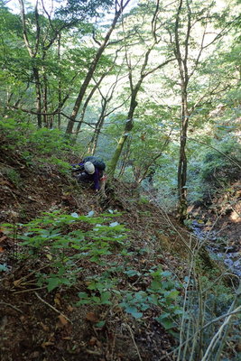 谷を間違えてトラバース