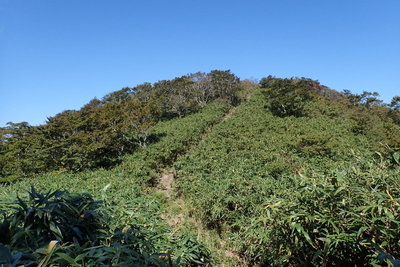 ブンゲン山頂付近の切り開き