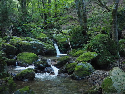 UNADJUSTEDNONRAW_thumb_209c.jpg (141.64 KiB) 閲覧された回数 2595 回 黒谷右俣へ