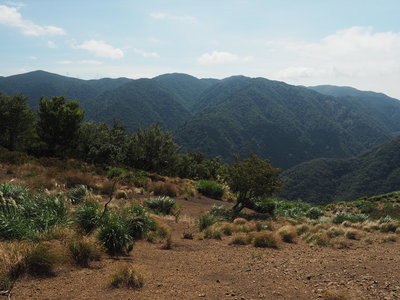 UNADJUSTEDNONRAW_thumb_20d8.jpg (302.5 KiB) 閲覧された回数 2590 回 左に赤坂山、正面に寒風、右に大谷山