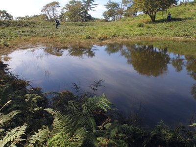 秋空映える赤ゾレ池
