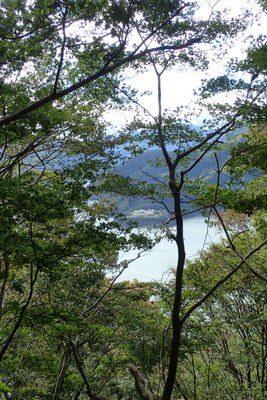 展望はこんな感じ