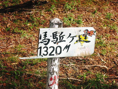 ● ナンでこうなるの？、こんなコトって好いのかなあ