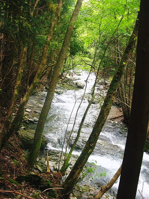 ● 渡渉に難儀しました、上に写るが釣り志さん