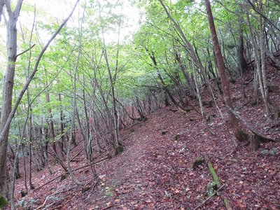 右のピークを巻いて鞍部へ