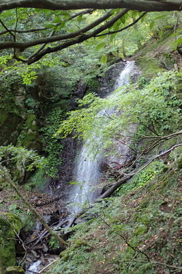 巻きルートから見る下段の滝