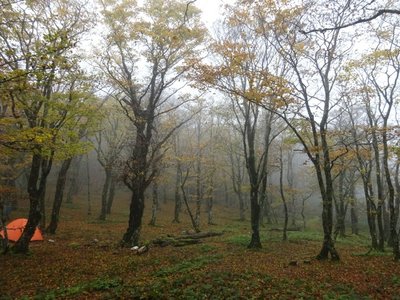 15719199661302  ②.jpg