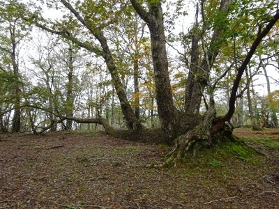 15718920336991 ④.jpg