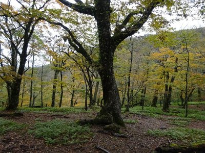 15719222719700 ③.jpg