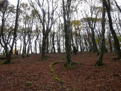 15719223002391 ③の２.jpg