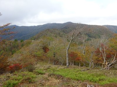 15719225373262 ⑥の１.jpg