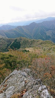 15719198741260 ⑤.jpg