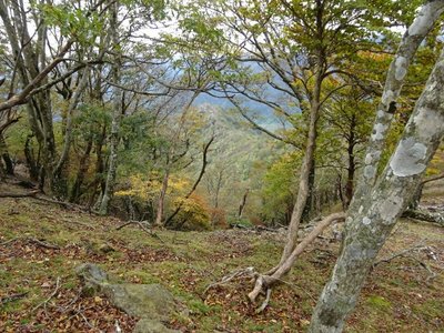 15719202594574  ⑥.jpg