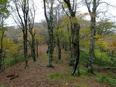 15719205876272 ⑦.jpg