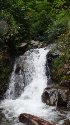 この滝が登れない