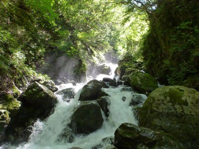 東前の谷　下流部