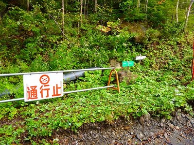 林道終点、左手に登山口