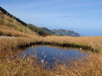 PA180056.jpg (99.99 KiB) 閲覧された回数 2334 回 池塘