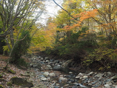 コクイ谷.jpg (163.74 KiB) 閲覧された回数 8609 回 コクイ谷