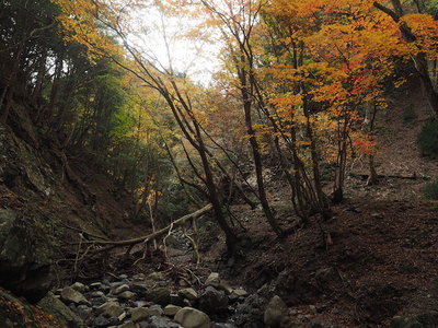 コクイ谷の奥.jpg (180.04 KiB) 閲覧された回数 8606 回 コクイ谷奥の紅葉