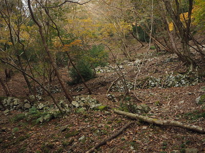 石垣.jpg (166.99 KiB) 閲覧された回数 8609 回 石垣