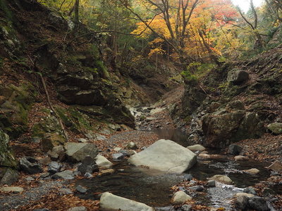 谷奥の平流.jpg (176.71 KiB) 閲覧された回数 8606 回 紅葉の美しい谷奥の平流に