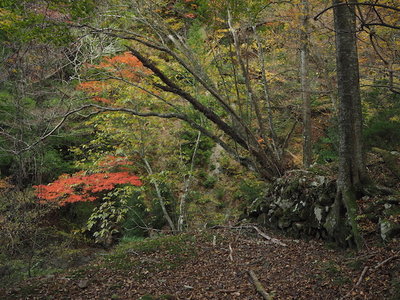 窯跡1.jpg (164.61 KiB) 閲覧された回数 8606 回 窯跡