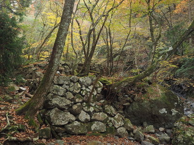 炭焼き小屋の跡？