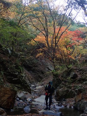 風景に溶け込んで。岩から岩へピョンピョン飛び跳ねてます