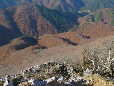 ゴロ谷を見下ろす