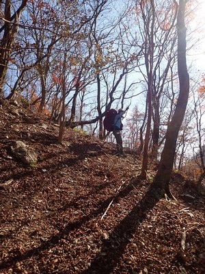 あみんちょ.jpg (214.49 KiB) 閲覧された回数 6095 回 ハナタレ隊隊長「副隊長、おまえもがんばれよ」