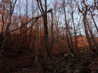 夕日.jpg (156.83 KiB) 閲覧された回数 6095 回 赤く染まる。一秒ごとに表情が変わる