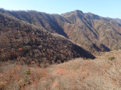 東尾根.jpg (186.94 KiB) 閲覧された回数 6095 回 眼前には東尾根、ドーン