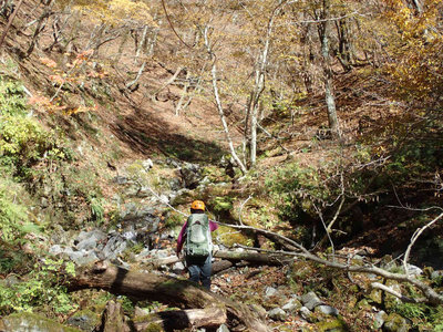 明るい谷を行くバーチャリさん