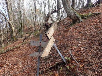 大黒看板.jpg (215.68 KiB) 閲覧された回数 3308 回 巡視路には手書きで『大黒』と