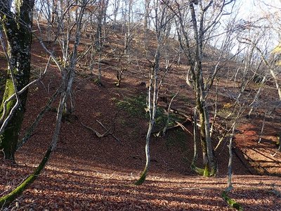 なだらかな尾根.jpg (170.32 KiB) 閲覧された回数 3305 回 のっぺりとした落ち葉歩きは、ここまで来たご褒美