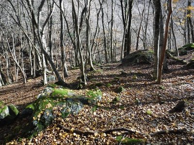 DSCF2534.JPG (457.92 KiB) 閲覧された回数 13545 回 蓮第4工場の飯場