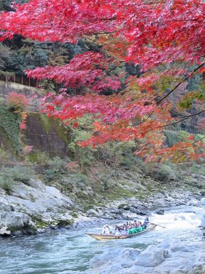 紅葉と観光船