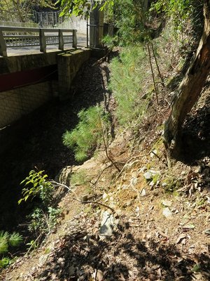 渡ってから振り返る