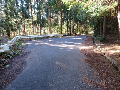 林道と合流、ガードレールとその先の木に赤いテープ