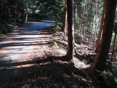 林道と旧道の合流点を振り返る