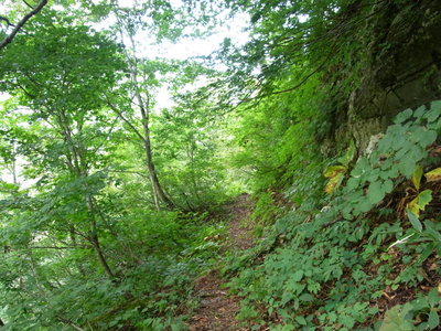 こんな感じの道です